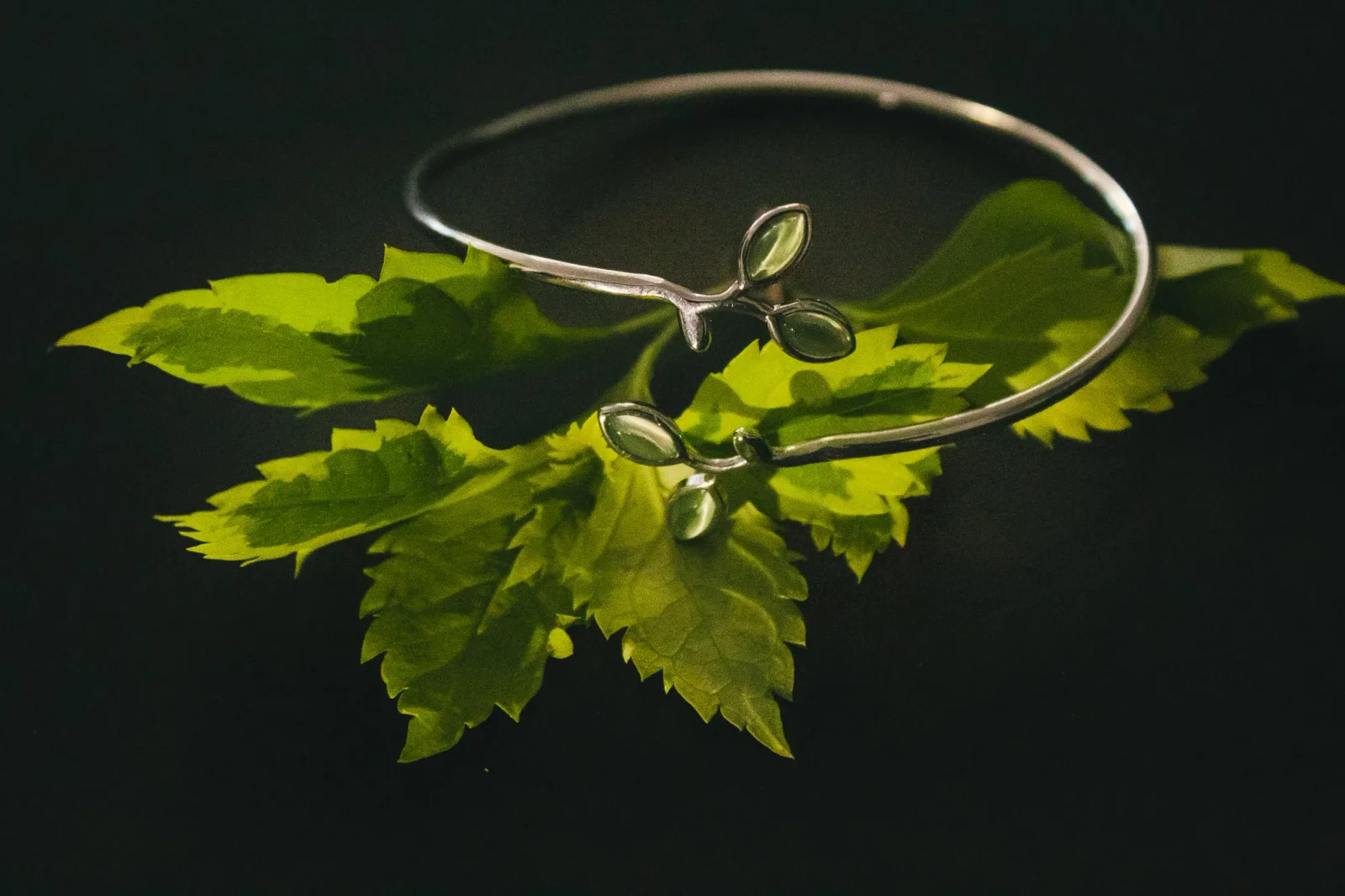 product photography by JRMGraphy